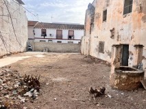 Foto8