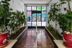 Foto8