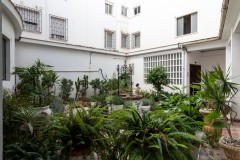 Foto9