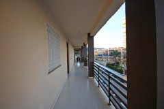 Foto14