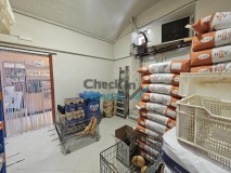 Foto12