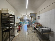 Foto8