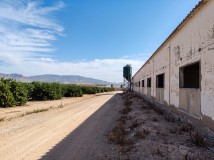 Foto4