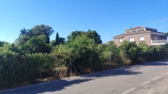 Foto3