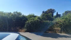 Foto4