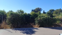 Foto5