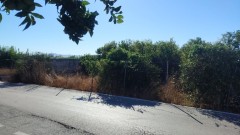 Foto6