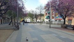 Foto9