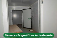 Foto11