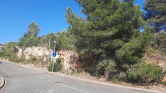 Foto3