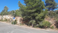 Foto2