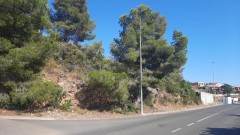 Foto1