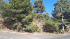 Foto6