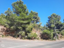 Foto8