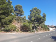 Foto5