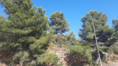 Foto4