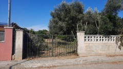 Foto3