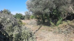 Foto6