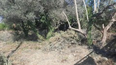 Foto5