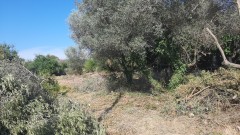 Foto2
