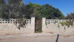 Foto4