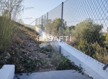 Foto41