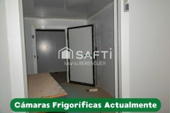 Foto11