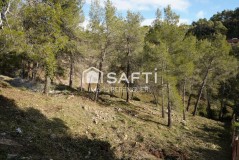 Foto16