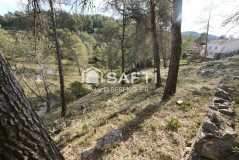Foto8