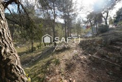 Foto6