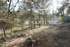 Foto15