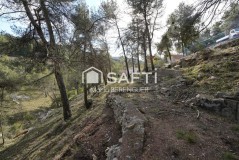Foto12