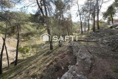 Foto13