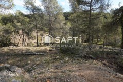 Foto9