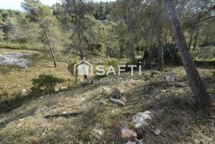 Foto11