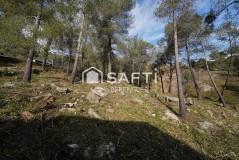 Foto2