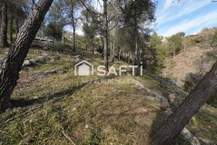 Foto5