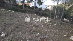 Foto2