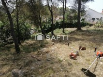 Foto5