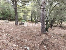 Foto6