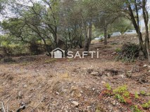 Foto5