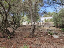 Foto4