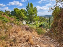 Foto6