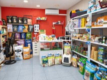 Foto5