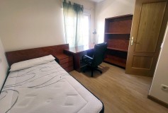 Foto19