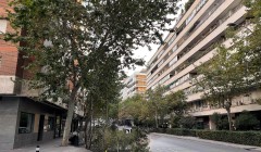 Foto41