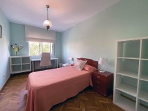 Foto19