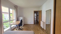 Foto8