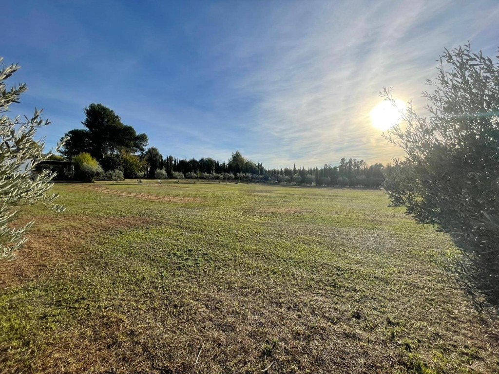 Finca Rústica de 4857 m2 en Jerez de la Frontera - foto 10