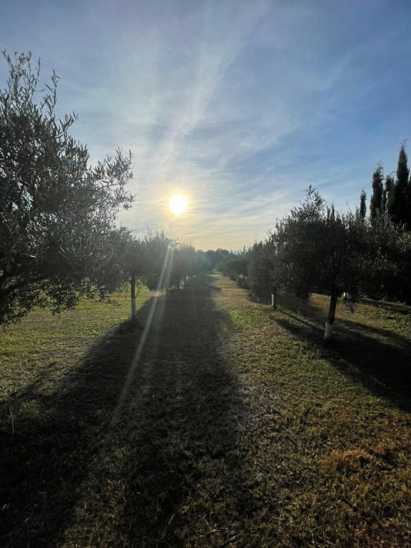 Finca Rústica de 4857 m2 en Jerez de la Frontera